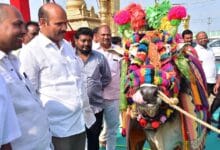 Sankranthi: మంత్రి కొలుసు పార్థసారధి ఇంటి వద్ద సంక్రాంతి సంబరాలు