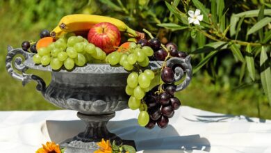 పండ్లు తినే సమయం: ఆరోగ్యానికి ఉత్తమమైన సమయం ఏమిటి|| When to Eat Fruits: The Best Time for Optimal Health పండ్లు తినే సమయం