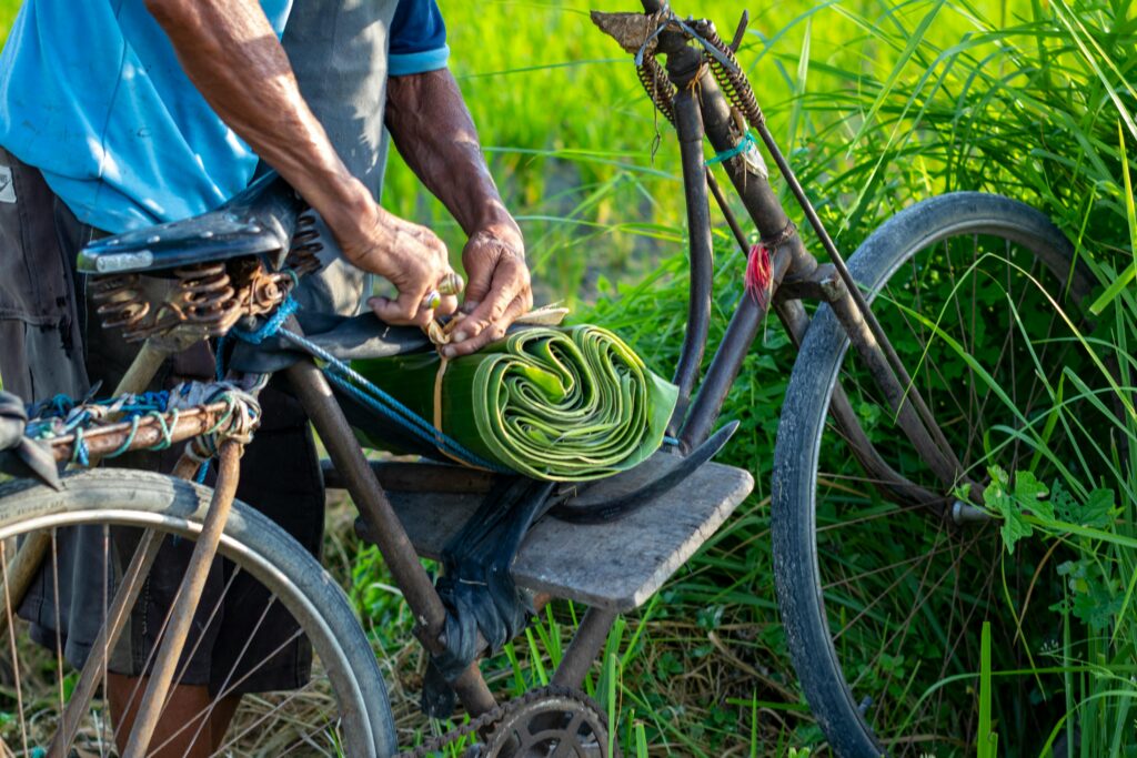 అరటి ఆకులపై భోజనం: ఆరోగ్య ప్రయోజనాలు|| Eating on Banana Leaves: Health Benefits Current image: A man arranges banana leaves on a bicycle in a lush green field, capturing a rustic outdoor scene.