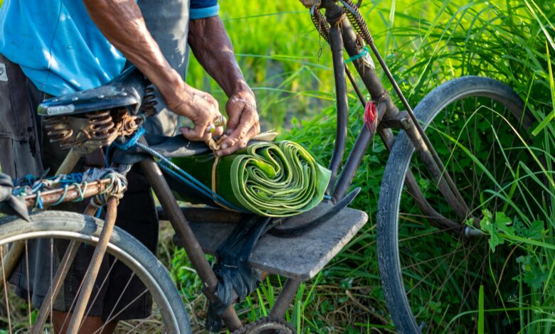 అరటి ఆకులపై భోజనం: ఆరోగ్య ప్రయోజనాలు|| Eating on Banana Leaves: Health Benefits అరటి ఆకులపై భోజనం