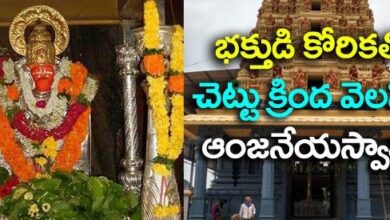 శ్రీ మద్ది ఆంజనేయస్వామి వారి చరిత్ర మరియు స్థాన మహాత్మ్యం: History and greatness of Sri Maddi Anjaneyaswamy శ్రీ మద్ది ఆంజనేయస్వామి వారి చరిత్ర మరియు స్థాన మహాత్మ్యం: History and greatness of Sri Maddi Anjaneyaswamy