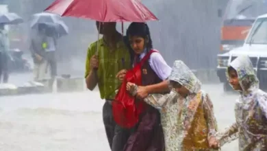 Heavy Rains: Holiday Declared for Schools in Nellore and Chittoor Districts Today||భారీ వర్షాలు: నెల్లూరు, చిత్తూరు జిల్లాల్లో నేడు పాఠశాలలకు సెలవు Heavy Rains Heavy Rains: Holiday Declared for Schools in Nellore and Chittoor Districts Today||భారీ వర్షాలు: నెల్లూరు, చిత్తూరు జిల్లాల్లో నేడు పాఠశాలలకు సెలవు Heavy Rains