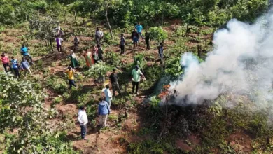 Sensation: Asifabad Ganja Cultivation in Cotton Field - 32 Plants Seized||సంచలనం: పత్తి చేనులో ఆసిఫాబాద్ గంజాయి సాగు - 32 మొక్కలు స్వాధీనం Sensation: Asifabad Ganja Cultivation in Cotton Field - 32 Plants Seized||సంచలనం: పత్తి చేనులో ఆసిఫాబాద్ గంజాయి సాగు - 32 మొక్కలు స్వాధీనం