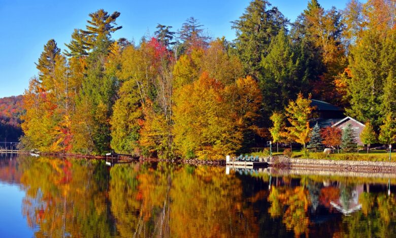 Top 5 Places to Visit in US in October for Peaceful Rural Autumn Vibes||అక్టోబర్‌లో అమెరికాలో చూడదగ్గ ప్రదేశాలు: ప్రశాంతమైన గ్రామీణ వాతావరణం