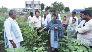 GUNTUR DISTRICT NEWS: సీసీఐ ద్వారా పత్తి కొనుగోలుకు ఏర్పాట్లు సిద్ధం GUNTUR DISTRICT NEWS: సీసీఐ ద్వారా పత్తి కొనుగోలుకు ఏర్పాట్లు సిద్ధం