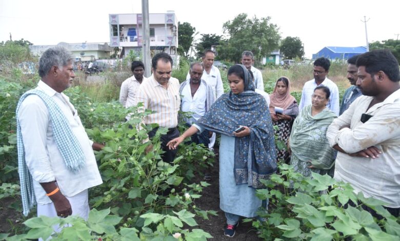 GUNTUR DISTRICT NEWS: సీసీఐ ద్వారా పత్తి కొనుగోలుకు ఏర్పాట్లు సిద్ధం