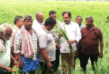 GUNTUR DISTRICT NEWS: పొన్నూరులో నష్టపోయిన పంట పొలాలను పరిశీలించిన అంబటి మురళీకృష్ణ GUNTUR DISTRICT NEWS: పొన్నూరులో నష్టపోయిన పంట పొలాలను పరిశీలించిన అంబటి మురళీకృష్ణ