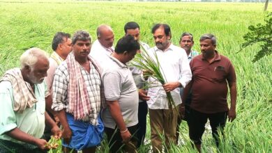 GUNTUR DISTRICT NEWS: పొన్నూరులో నష్టపోయిన పంట పొలాలను పరిశీలించిన అంబటి మురళీకృష్ణ GUNTUR DISTRICT NEWS: పొన్నూరులో నష్టపోయిన పంట పొలాలను పరిశీలించిన అంబటి మురళీకృష్ణ