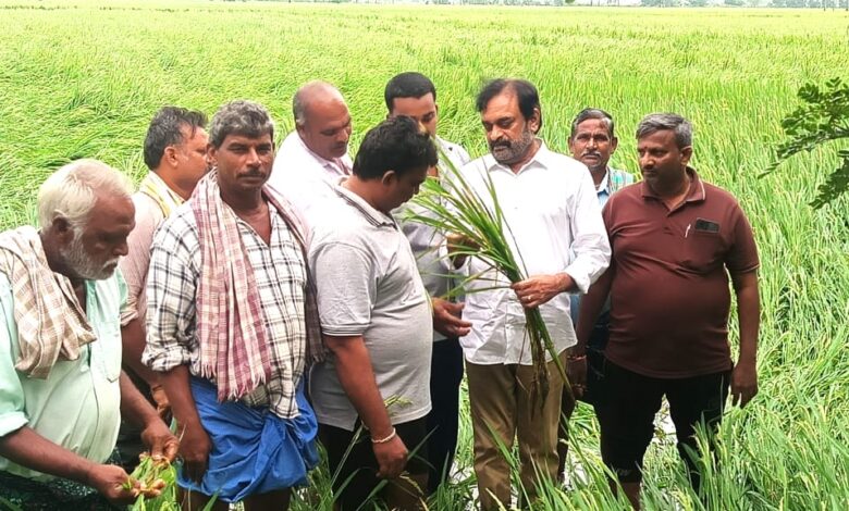 GUNTUR DISTRICT NEWS: పొన్నూరులో నష్టపోయిన పంట పొలాలను పరిశీలించిన అంబటి మురళీకృష్ణ GUNTUR DISTRICT NEWS: పొన్నూరులో నష్టపోయిన పంట పొలాలను పరిశీలించిన అంబటి మురళీకృష్ణ