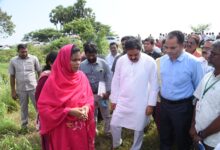 AP LATEST NEWS: అధైర్యం వద్దు... ప్రతి గింజ కొంటాం