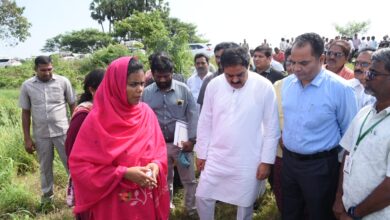 AP LATEST NEWS: అధైర్యం వద్దు... ప్రతి గింజ కొంటాం