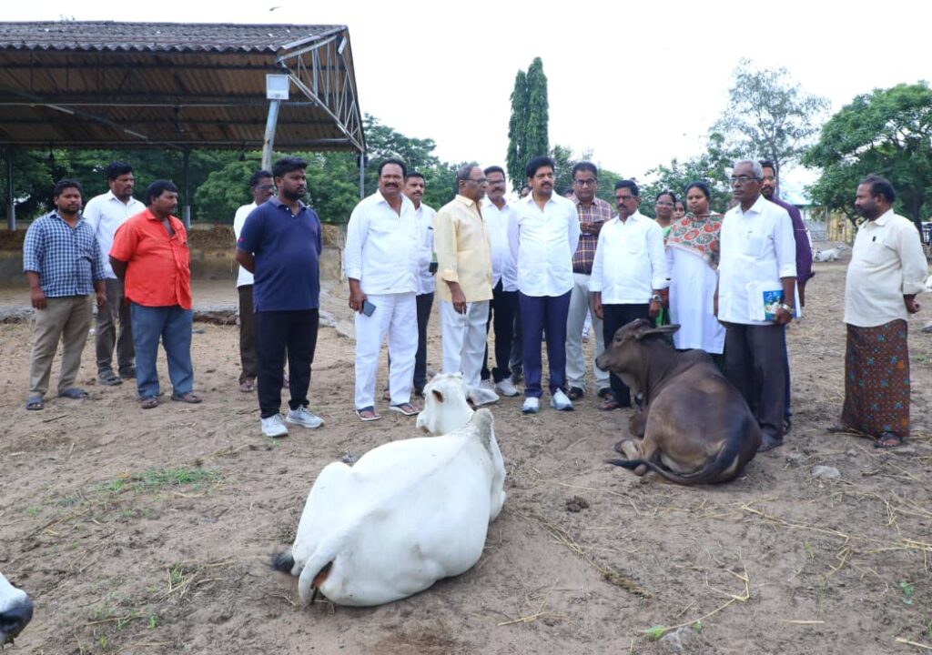 మచిలీపట్నం రహదారులపై పశువులతో ఎలాంటి ప్రమాదాలు జరగకుండా అన్ని చర్యలు తీసుకున్నామని రాష్ట్ర గనులు భూగర్భవనరులు ఎక్సైజ్ శాఖ మంత్రివర్యులు కొల్లు రవీంద్ర పేర్కొన్నారు.