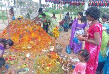 Chinaganjam:పుట్టల్లో పాలు పోసి పూజలు చేసిన మహిళలు