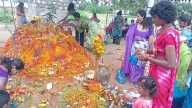 Chinaganjam:పుట్టల్లో పాలు పోసి పూజలు చేసిన మహిళలు Chinaganjam:పుట్టల్లో పాలు పోసి పూజలు చేసిన మహిళలు
