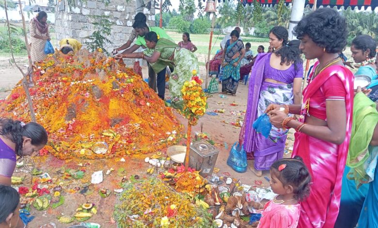 Chinaganjam:పుట్టల్లో పాలు పోసి పూజలు చేసిన మహిళలు