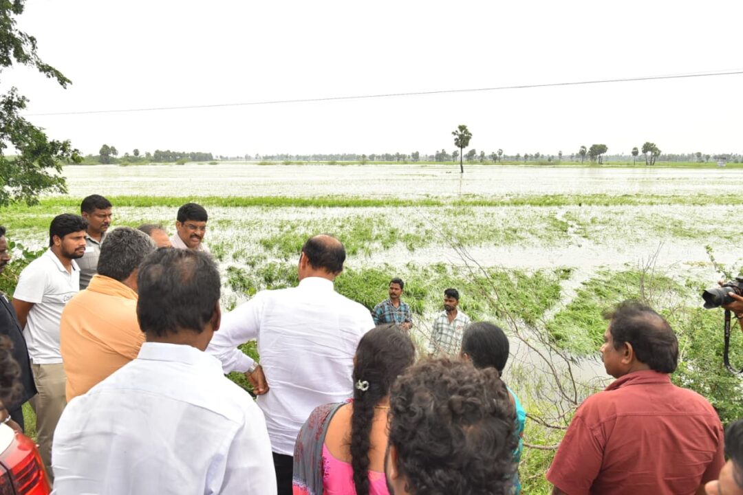 Montha thupaan మొంథా తుఫాన్‌ ప్రభావిత ప్రాతాలలో పర్యటిచినమంత్రి కొలుసు పార్థసారధి