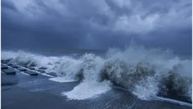 Cyclone Alert 2025: Chandrababu’s Powerful Action Plan for Andhra Pradesh||Cyclone Alert 2025: ఆంధ్రప్రదేశ్‌లో చంద్రబాబు శక్తివంతమైన చర్యలు