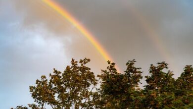 Rainbow: A Marvelous Spectacle Blossoming in the Sky||ఇంద్రధనుస్సు: ఆకాశాన విరిసిన అద్భుత దృశ్యం Rainbow: A Marvelous Spectacle Blossoming in the Sky||ఇంద్రధనుస్సు: ఆకాశాన విరిసిన అద్భుత దృశ్యం
