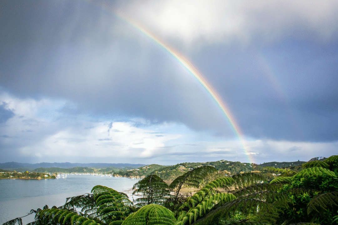 Rainbow: A Marvelous Spectacle Blossoming in the Sky||ఇంద్రధనుస్సు: ఆకాశాన విరిసిన అద్భుత దృశ్యం