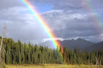 Rainbow: A Marvelous Spectacle Blossoming in the Sky||ఇంద్రధనుస్సు: ఆకాశాన విరిసిన అద్భుత దృశ్యం