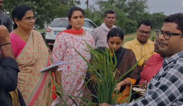 Gudivada news గుడివాడ నియోజకవర్గంలో తుఫాన్ ప్రభావిత పంటల పరిశీలన