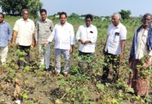 GUNTUR DISTRICT NEWS: తుఫాన్ తో దెబ్బతిన్న రైతులను మోసం చేసిన కేంద్ర, రాష్ట్ర ప్రభుత్వాలు GUNTUR DISTRICT NEWS: తుఫాన్ తో దెబ్బతిన్న రైతులను మోసం చేసిన కేంద్ర, రాష్ట్ర ప్రభుత్వాలు