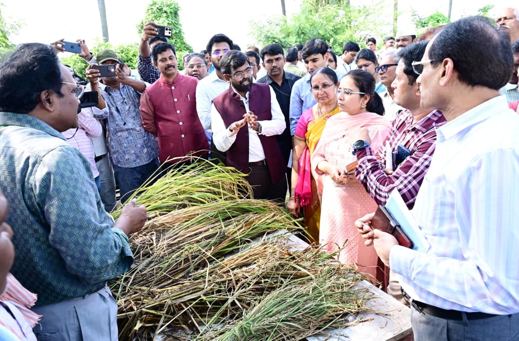 Montha thupaan valla:-మోంత తుఫాన్‌ వల్ల జిల్లాలో జరిగిన నష్టాలను ప్రత్యక్షంగా పరిశీలించేందుకు వచ్చిన అంతర్ మంత్రిత్వ కేంద్ర బృందం (IMCT)