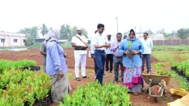 Astonishing Cashew Variety: Bapatla Research Center's Revolutionary Work for Farmers' Prosperity||రైతుల అభ్యున్నతికి బాపట్ల పరిశోధన కేంద్రం విప్లవాత్మక కృషి Cashew Variety