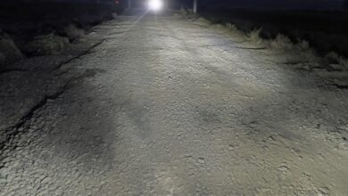 NTR Vijayawada Local News