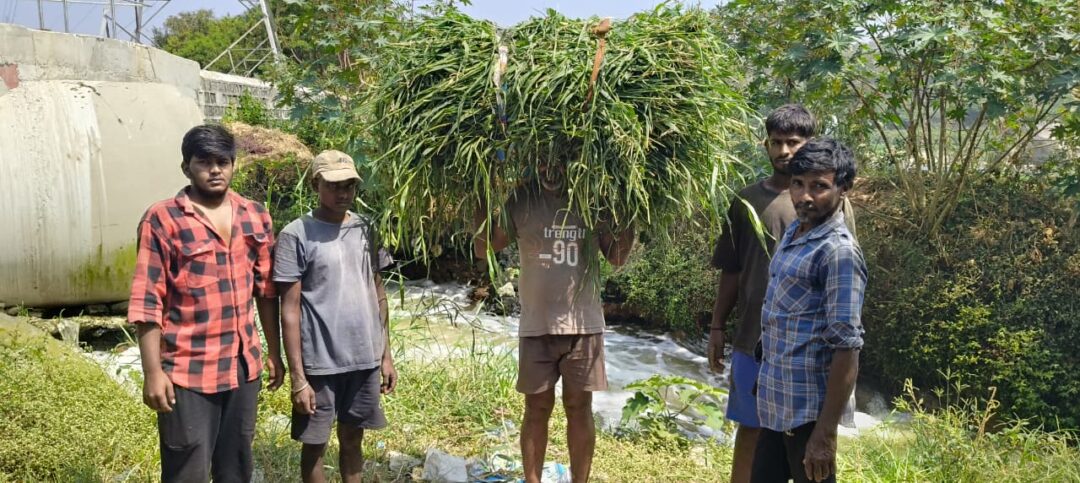 Hyderabad Local News :అంబర్‌పేట్ వాటర్ బోర్డ్ ప్లాంట్‌పై రైతుల ఆగ్రహం పైప్‌లైన్‌లతో పంటల నష్టం – శాశ్వత పరిష్కారం కోరుతూ హెచ్చరిక