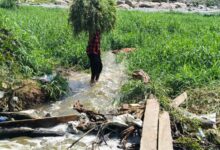 Hyderabad Local News