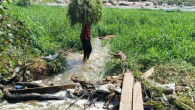 Hyderabad Local News