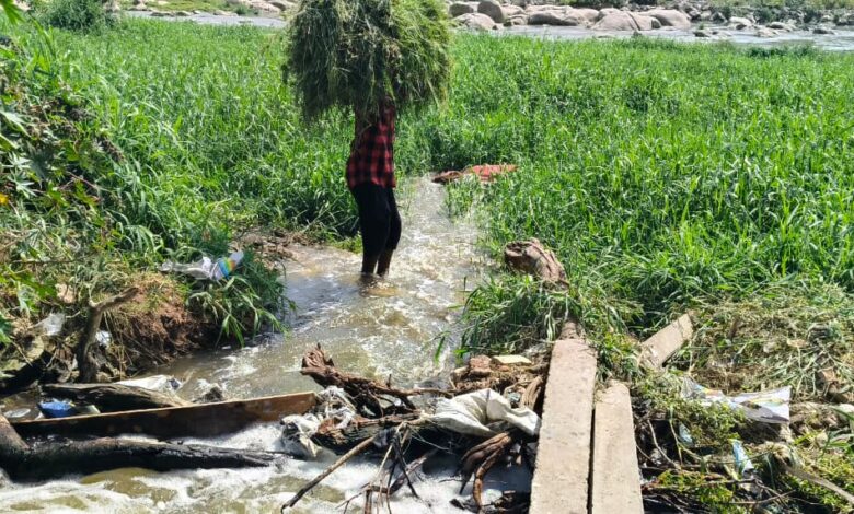 Hyderabad Local News :అంబర్పేట్ వాటర్ బోర్డ్ ప్లాంట్పై రైతుల ఆగ్రహం పైప్లైన్లతో పంటల నష్టం – శాశ్వత పరిష్కారం కోరుతూ హెచ్చరిక Hyderabad Local News