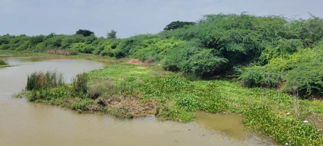 Amaravathi Local News :రోంపేరు వరద కాలువ పునరుద్ధరణకు శ్రీకారం-ఎమ్మెల్యే ఏలూరి కృషితో ప్రభుత్వ ఆమోదం