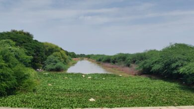 Amaravathi Local News