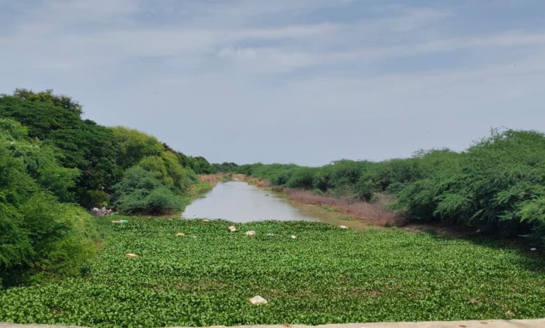 Amaravathi Local News :రోంపేరు వరద కాలువ పునరుద్ధరణకు శ్రీకారం-ఎమ్మెల్యే ఏలూరి కృషితో ప్రభుత్వ ఆమోదం Amaravathi Local News