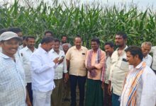 Jaggaiahpet Local News