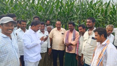 Jaggaiahpet Local News