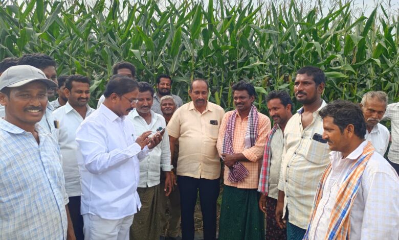 Jaggaiahpet Local News :మొక్కజొన్న రైతులకు మద్దతు ధర కల్పించాలి- ఎమ్మెల్యే శ్రీరాం రాజగోపాల్ (తాతయ్య) డిమాండ్ Jaggaiahpet Local News