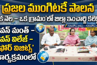 Palnadu Distric News