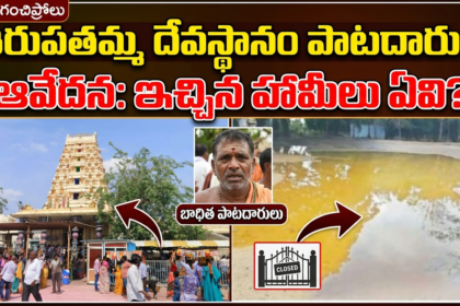 NTR distric news
