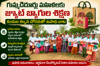 NTR Distric news
