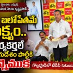 Vijayawada Local News