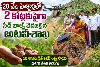 Amaravathi Local News