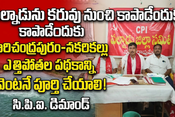 Palnadu District News