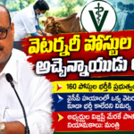 Amaravathi city news