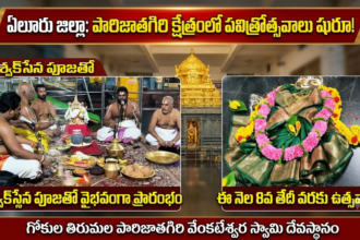 Eluru District city News