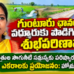 Bapatla District City News