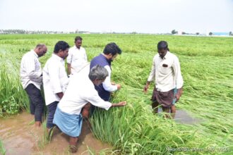 Tenali City News